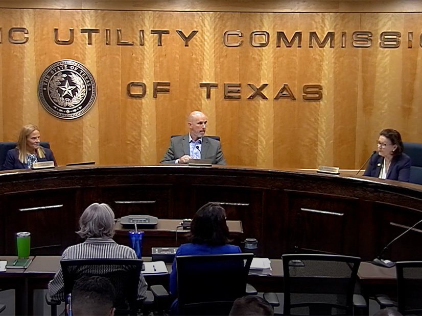 Texas commissioners Courtney Hjaltman (left), Thomas Gleeson listen to commissioner Kathleen Jackson.