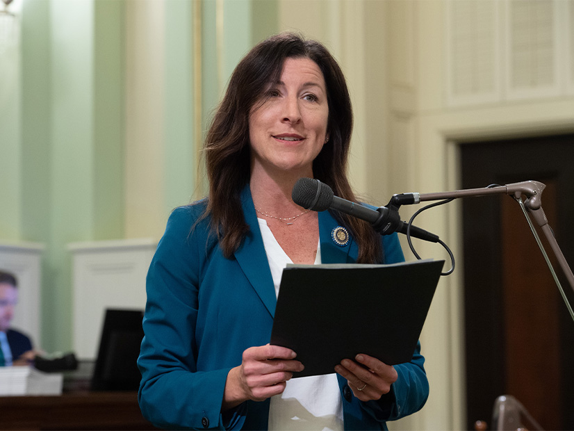 Assemblymember Cottie Petrie-Norris took up sponsorship of the Pathways bill late in the 2025 session.