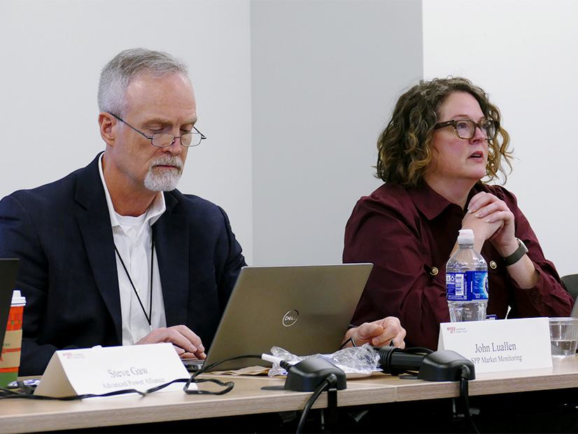 Carrie Bivens, with MMU's John Luallen, explains the monitor's opposition to the demand response and LRE peak demand assessment. 