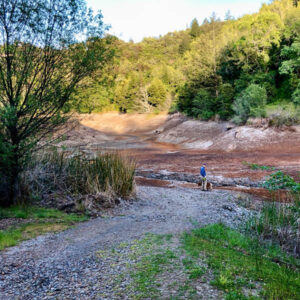 Phoenix Lake, one of the reservoirs in Marin Water’s catchment system, during the 2021 drought. Husband and dog for scale. Phoenix Lake, one of the reservoirs in Marin Water’s catchment system, during the 2021 drought. Husband and dog for scale.