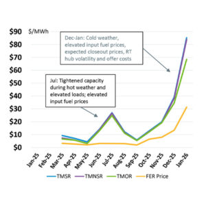 Day-ahead ancillary services prices: Ten-Minute Spinning Reserve (TMSR), Ten-Minute Non-Spinning Reserve, (TMNSR), Thirty-Minute Operating Reserve (TMOR) and Forecast Energy Requirement (FER) Day-ahead ancillary services prices: Ten-Minute Spinning Reserve (TMSR), Ten-Minute Non-Spinning Reserve, (TMNSR), Thirty-Minute Operating Reserve (TMOR) and Forecast Energy Requirement (FER)