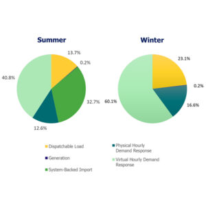 Hourly demand response (HDR) accounted for more than half the capacity procured in the 2025 auction. Virtual HDR refers to aggregated DR resources that are not metered by IESO. Physical HDR resources are single, large transmission-connected or embedded load facilities that are revenue metered by IESO. Hourly demand response (HDR) accounted for more than half the capacity procured in the 2025 auction. Virtual HDR refers to aggregated DR resources that are not metered by IESO. Physical HDR resources are single, large transmission-connected or embedded load facilities that are revenue metered by IESO.