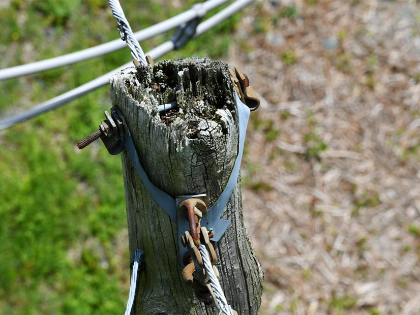 Shell Rot Utility Poles New England TOs Propose Asset Condition Projects
